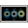 Séance Photo Artistique – IRIS, les Yeux de l’Âme