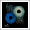 Séance Photo Artistique – IRIS, les Yeux de l’Âme