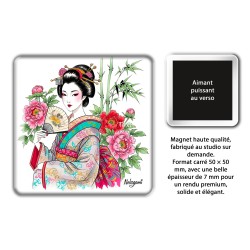 Magnets d'Asie