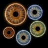IRIS — COLLECTION CLASSIQUE