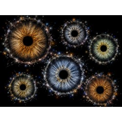 IRIS — COLLECTION SIGNATURE