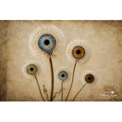 IRIS — COLLECTION SIGNATURE