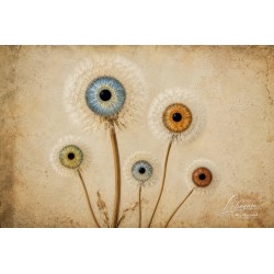 IRIS — COLLECTION SIGNATURE