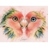 IRIS — COLLECTION SIGNATURE