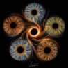 IRIS — COLLECTION SIGNATURE