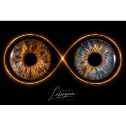 IRIS — COLLECTION CLASSIQUE