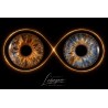 IRIS — COLLECTION CLASSIQUE