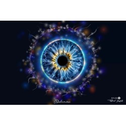 IRIS — COLLECTION SIGNATURE