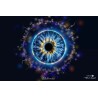 IRIS — COLLECTION SIGNATURE