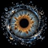 IRIS — COLLECTION CLASSIQUE