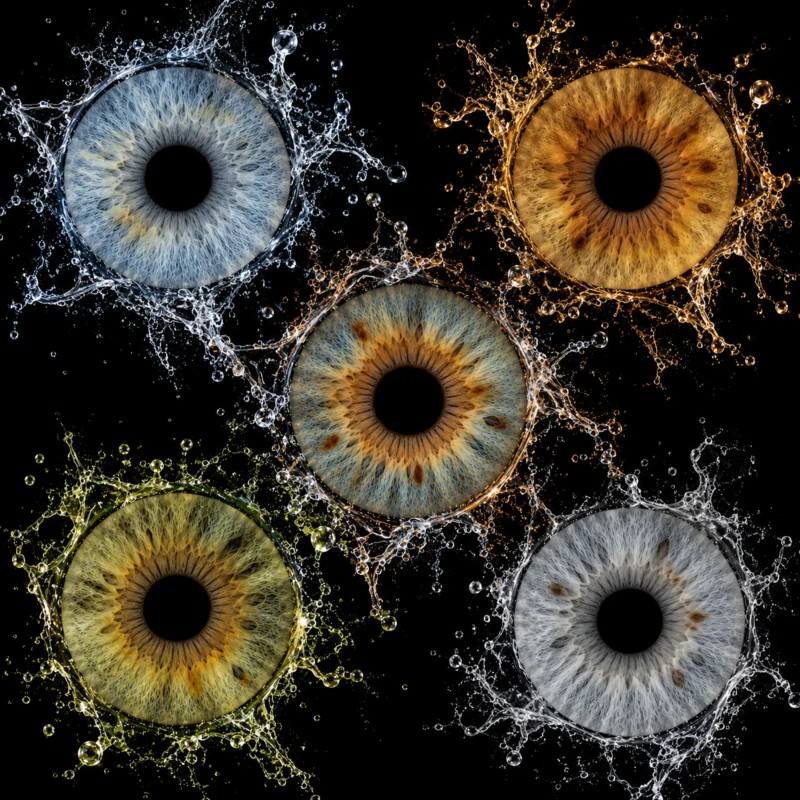 Création Iris présentée pour la Collection Classique — Studio Lebozam