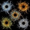 IRIS — COLLECTION CLASSIQUE