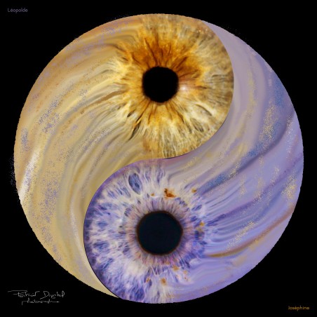 SÉANCE IRIS STUDIO YING, Yang Eyes Fusion