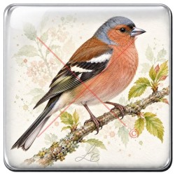 Pinson des arbres