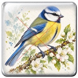 Mesange bleue