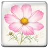Cosmos