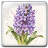 Jacinthe