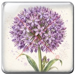 Allium