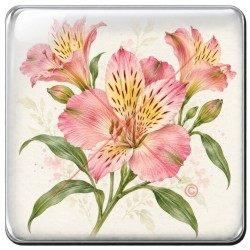 Alstroemère