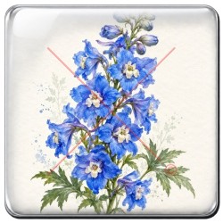 Delphinium