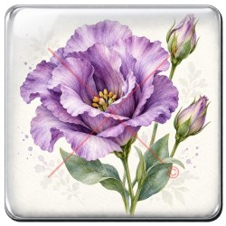 Lisianthus