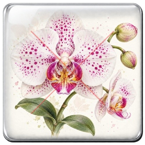 Orchidée
