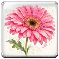 Gerbera