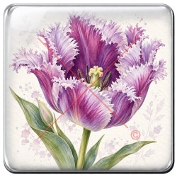 Tulipe