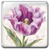Tulipe