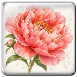 Pivoine